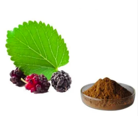 Mulberry_Leaf_Extract