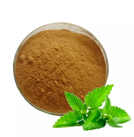 Lemon Balm Extracts Melissa Extract