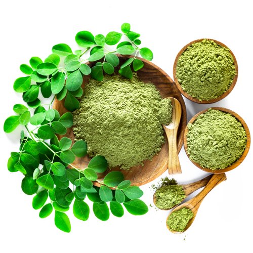 Moringa_Leaf_Extract