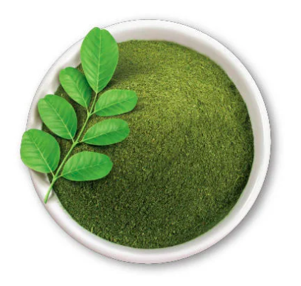 Moringa_leaf_powder