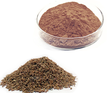 Ajwain_Seed_Extract